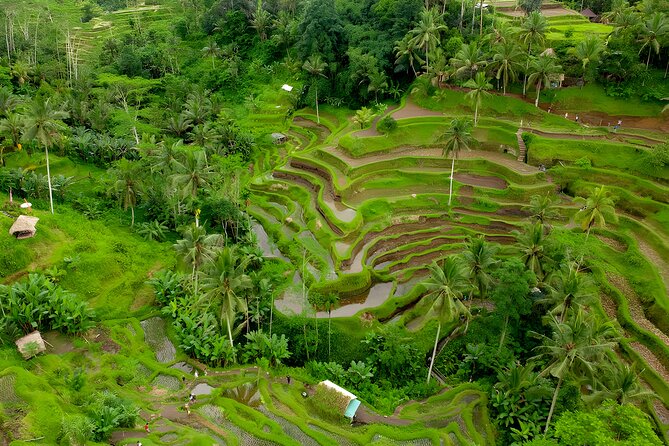 Bali Horse Riding Activity and Full-Day Trip in Ubud - Starting on horseback at Saba Beach
