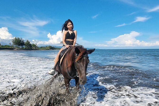 Bali Horse Riding and Turtle Release at Saba Beach - Tegenungan Waterfall gives the day a cool finish