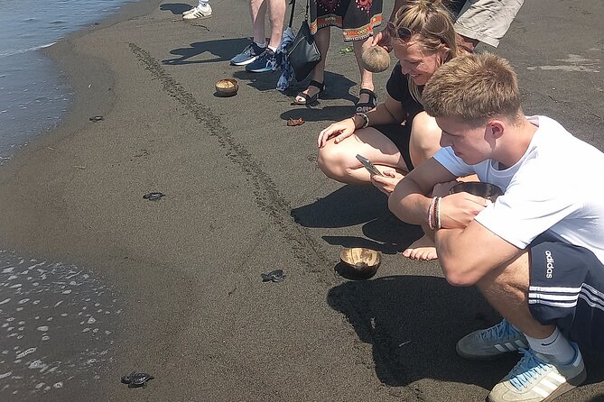 Bali Horse Riding and Turtle Release at Saba Beach - Practical details to settle before you book