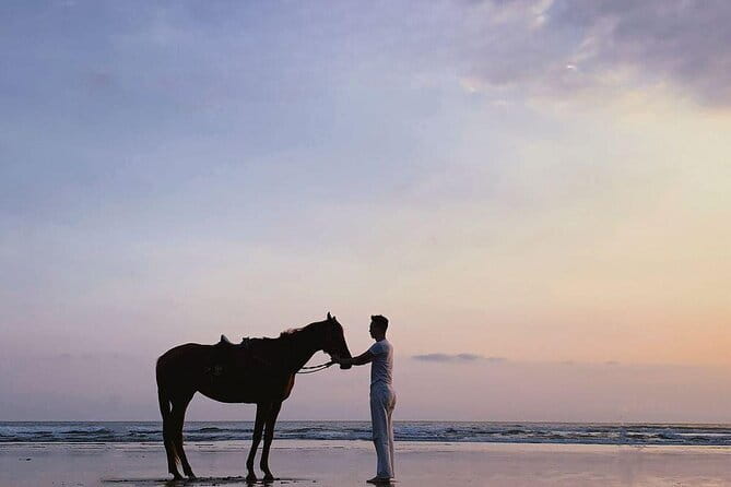 Bali Horse Riding Sanur Beach include Transport - What the $43.50 price includes