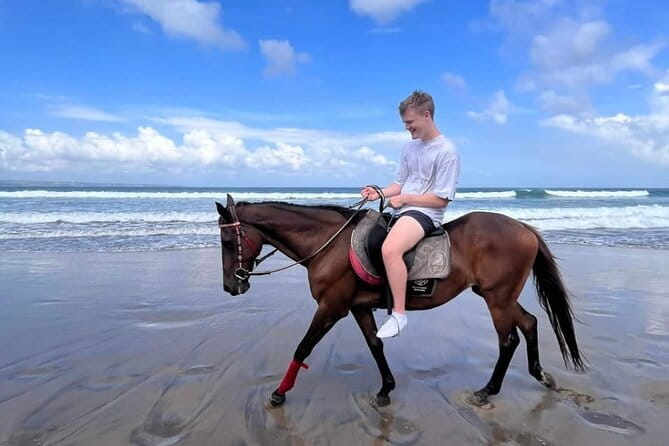Bali Horse Riding Seminyak Beach Experience Private Transport - Who will enjoy this most?