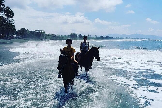 Bali Horse Riding Trot & Canter Saba Beach with Local Temple - Arriving at the stable and getting ready