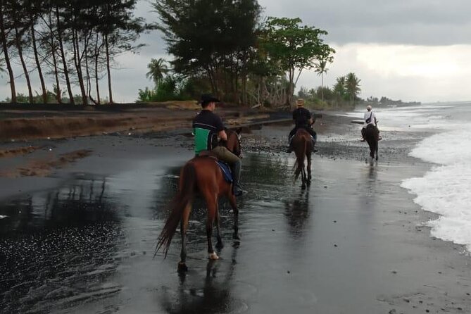 Bali Horse Riding Trot & Canter Saba Beach with Local Temple - What the $39 price includes