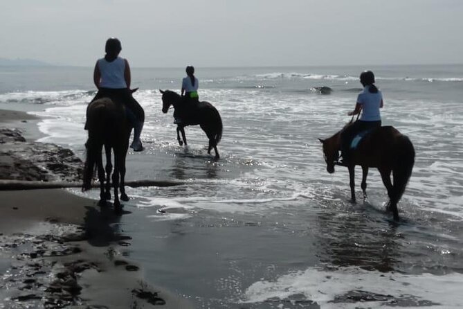 Bali Horse Riding Trot & Canter Saba Beach with Local Temple - Weather, timing, and the 90-kilogram limit