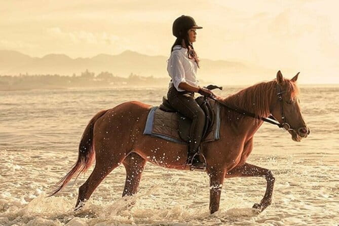 Bali Horse Riding, Waterfall, Rice Terrace, Lunch - All Inclusive - Key details before you book