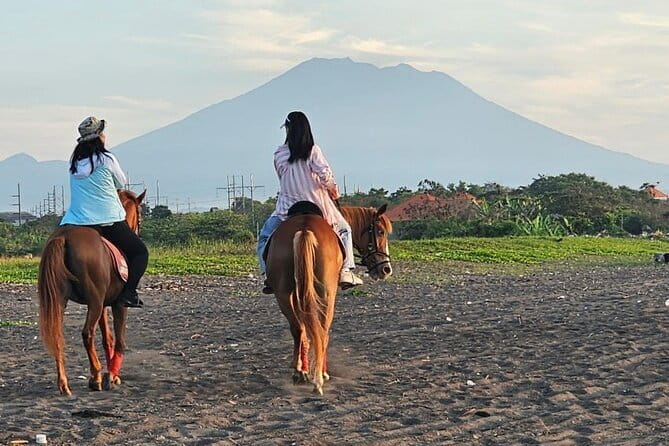 Bali Horse Riding, Waterfall, Rice Terrace, Lunch - All Inclusive - Tegalalang Rice Terrace and the meaning of the view