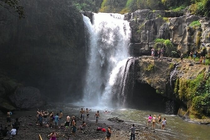 Bali Horse Riding, Waterfall, Rice Terrace, Lunch - All Inclusive - Uma Pakel Agro Tourism and coffee-growing plants