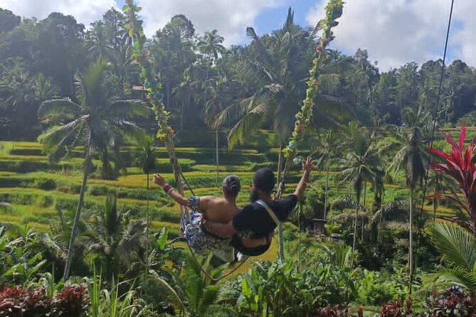 Bali in 1-Day : Rice Terrace, Volcano, Tanah lot - All Inclusive - Tegalalang Rice Terrace and the practical photo stop