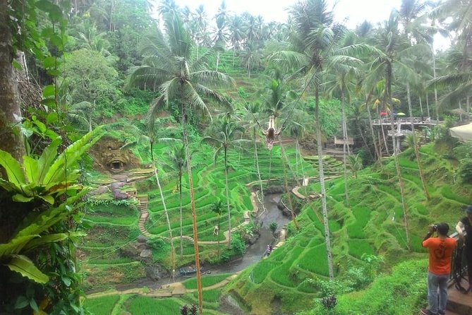 Bali in 1-Day : Rice Terrace, Volcano, Tanah lot - All Inclusive - Uma Pakel and Bali’s coffee plants