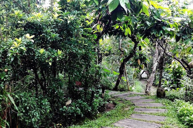 Bali in 1-Day : Rice Terrace, Volcano, Tanah lot - All Inclusive - Choosing a craft village without the hard sell
