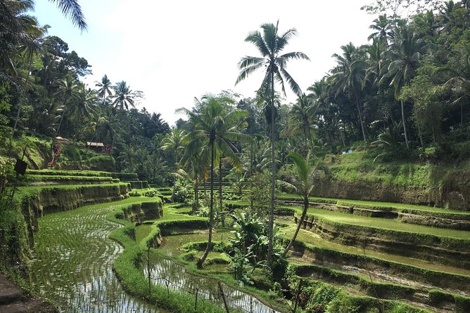 Bali Individual Route With Private English Speaking Driver - Why this private Bali route can work so well