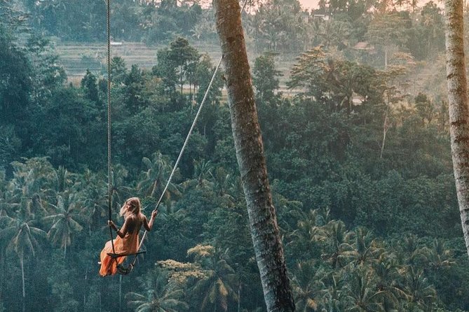 Bali Instagram Most Iconic Spots Private Tour - Tirta Gangga’s water gardens