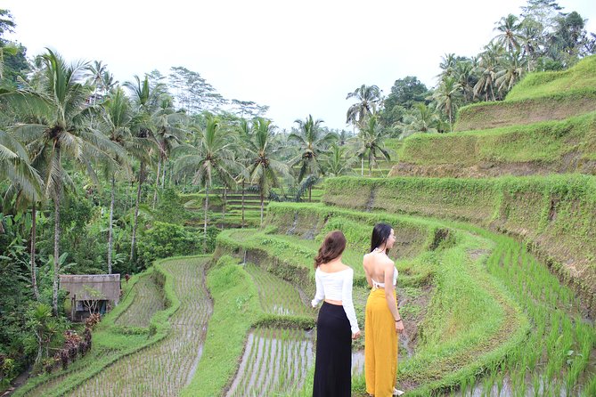 Bali Instagram Most Iconic Spots Private Tour - Lempuyang Temple and the 1,700-step challenge