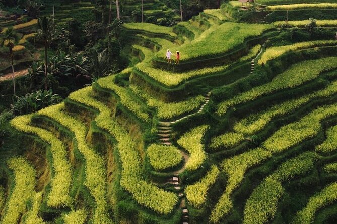 Bali Instagram Tour - All Inclusive - The guides are a major part of the experience