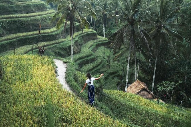 Bali Instagram Tour from Your Hotel (Private & Full-day) - South Bali beaches and cliff views