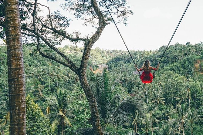 Bali Instagram Tour from Your Hotel (Private & Full-day) - Lempuyang Temple and the Gate of Heaven