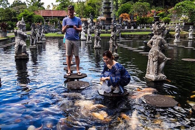 Bali Instagram Tour: Gate of Heaven, Swing and Waterfall Day Tour - Tirta Gangga’s royal water gardens