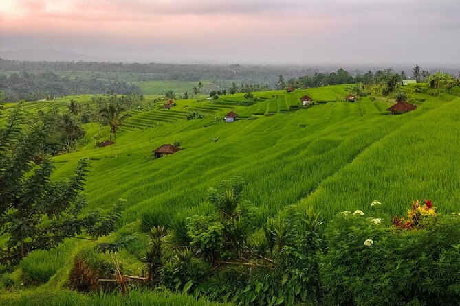 Bali Instagram Tour - Lempuyang Bali Gate of Heaven - Is $69.69 a fair price?