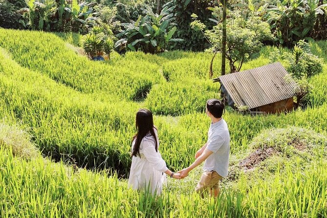 Bali Instagram Tour - Tirta Gangga’s Pools, Fountains, and Stone Figures