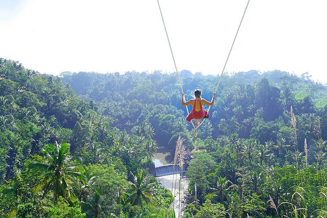 Bali Jungle Swing and White Water Rafting All Inclusive - Key points at a glance