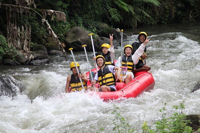 Bali Jungle Swing and White Water Rafting All Inclusive - Who will get the most from this tour
