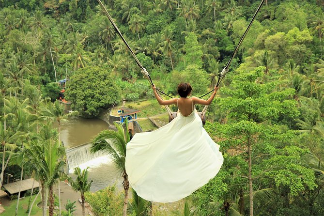 Bali Jungle Swing Experience Full Activity - Transport From Ubud and Beyond