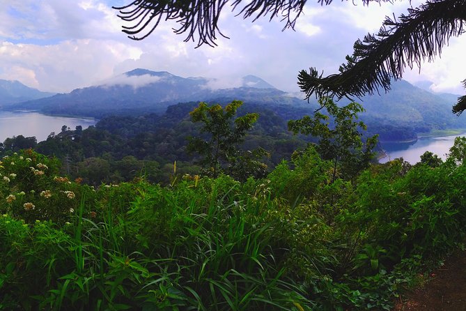 Bali Jungle Trekking and Lake Canoeing Tour - Walking down to Buyan Lake