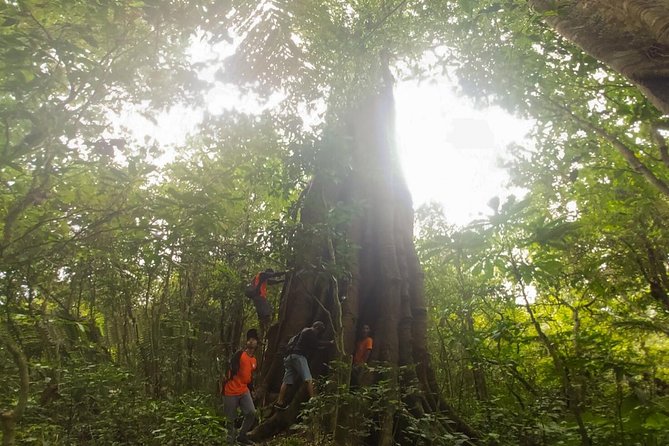 Bali Jungle Trekking and Lake Canoeing Tour - Handara Gate, Lake Beratan, and Bedugul Market
