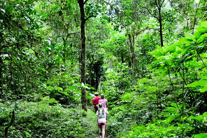 Bali Jungle Trekking in Beautiful Rainforest - Leaving Seminyak for Bali’s Cooler Interior