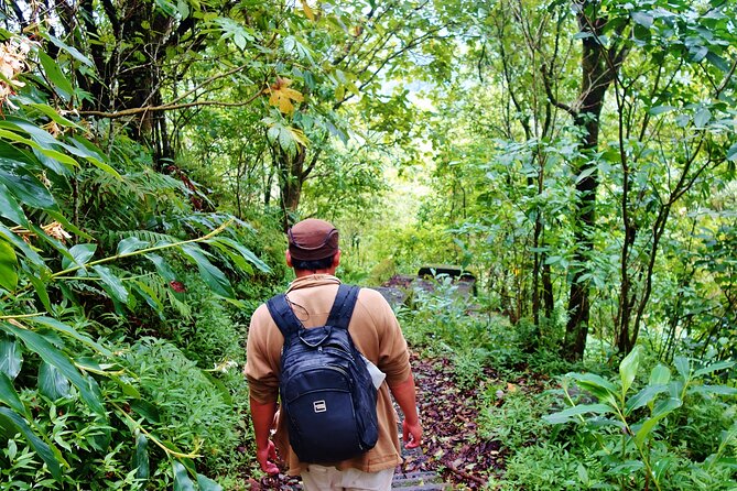 Bali Jungle Trekking in Beautiful Rainforest - Pickup Areas and a Seven to Eight Hour Day