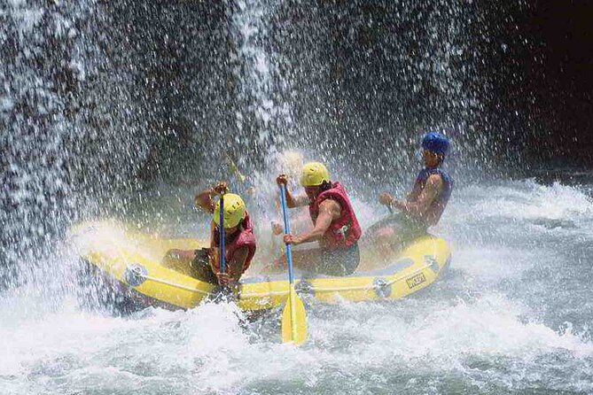 Bali Jungle White Water Rafting Adventure - Quick takeaways for the Ayung River trip