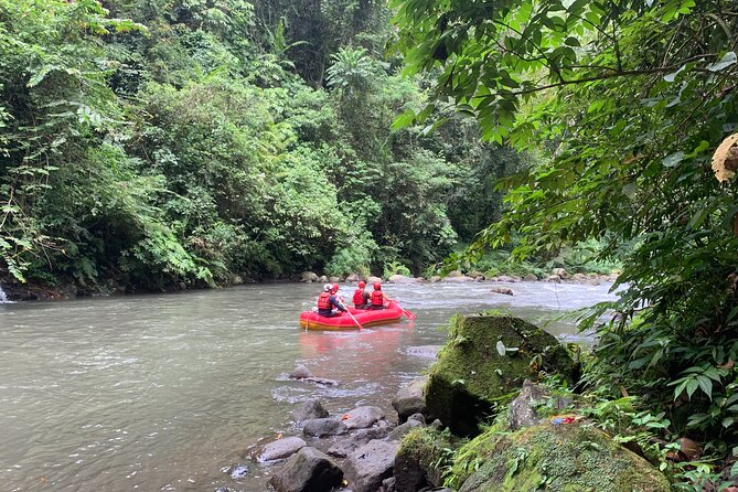 Bali Jungle White Water Rafting Adventure - Class II and III rapids, with room to relax