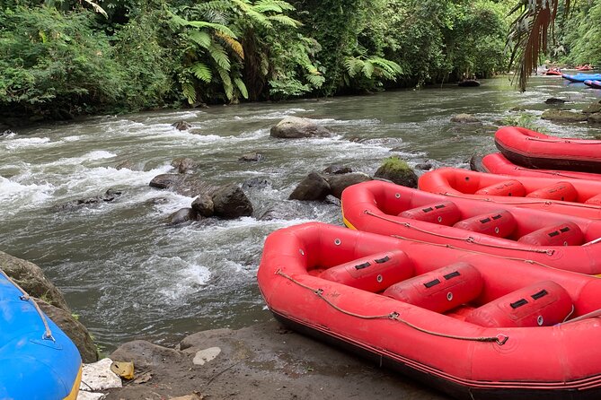 Bali Jungle White Water Rafting Adventure - Is $51.29 good value?