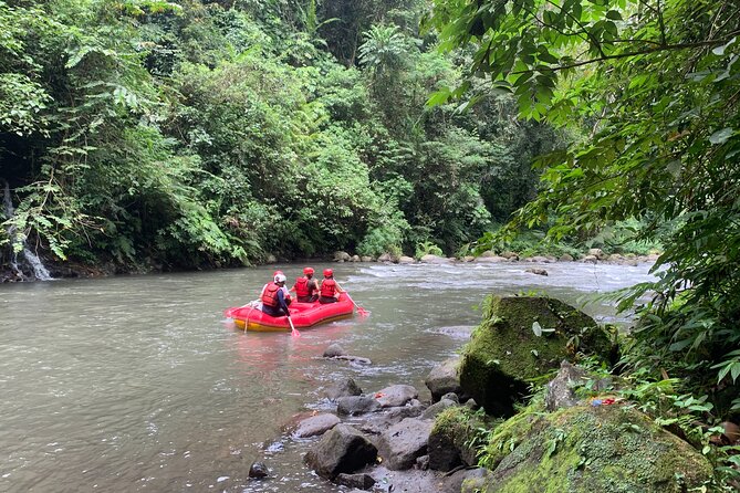 Bali Jungle White Water Rafting Adventure - Who should book this Bali rafting trip?