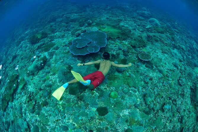 Bali Lembongan Island Beach Club Day Trip - How good is the value at $147.44?