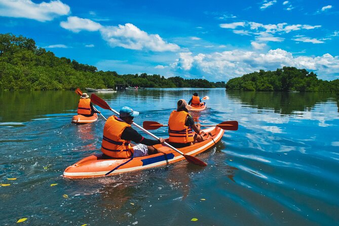 Bali Mangrove Canoeing Tour - Smooth water and a slower pace
