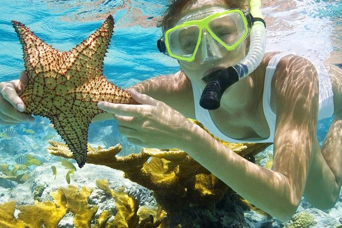 Bali Menjangan Island Snorkeling Day Tour - Stop 2: Menjangan Island and the national park
