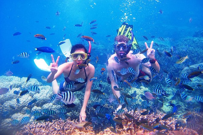 Bali Menjangan Island Snorkeling Day Tour - Stop 3: Snorkeling in clear water