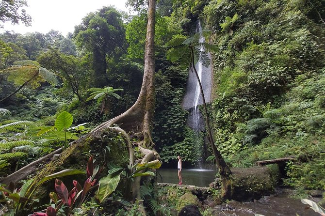 Bali Most Scenic Waterfalls Trekking - The waterfall trek: seven named falls