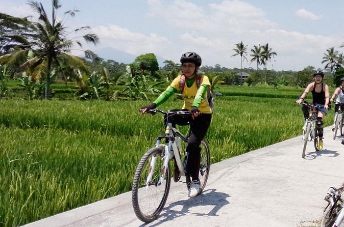 Bali Mountains and Villages Cycling Tour - Riding through fields, valleys, and rainforest