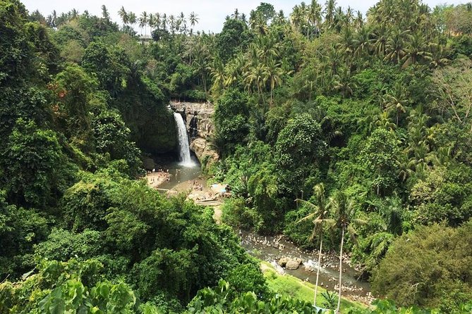 Bali Night Market Experience and Ubud Highlights tour - Who will get the most from this Bali day