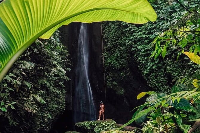 Bali : Northern Bali Private Day Trip with Transfer - Key points to know before booking
