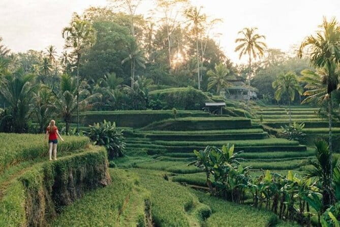 Bali : Northern Bali Private Day Trip with Transfer - What the $42 price really covers
