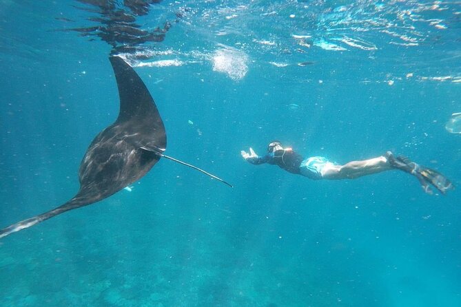 Bali Nusa Penida and Private Snorkeling (Manta Bay, Gamat, Wall) - Key points before you book