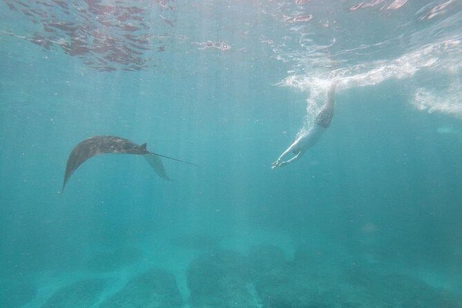 Bali Nusa Penida and Private Snorkeling (Manta Bay, Gamat, Wall) - Why this Nusa Penida day works best for first-time visitors