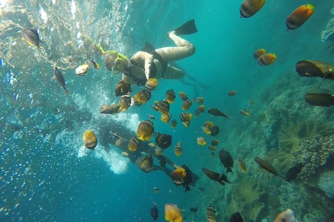 Bali Nusa Penida and Private Snorkeling (Manta Bay, Gamat, Wall) - Gamat Bay brings reefs and current concerns
