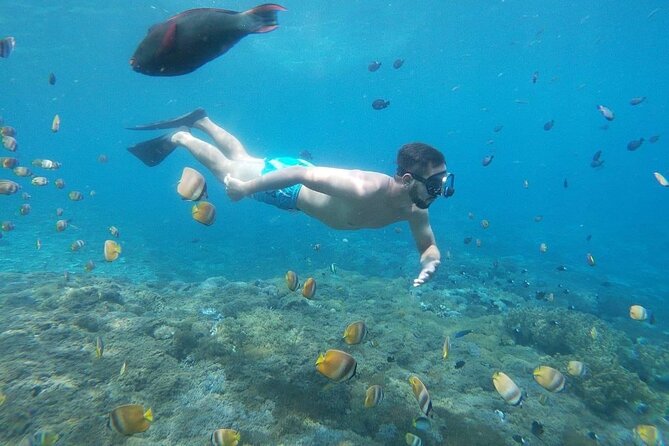 Bali Nusa Penida and Private Snorkeling (Manta Bay, Gamat, Wall) - Wall Bay offers a third look underwater