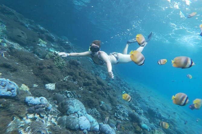 Bali Nusa Penida and Private Snorkeling (Manta Bay, Gamat, Wall) - Private guides make the complicated handoffs easier