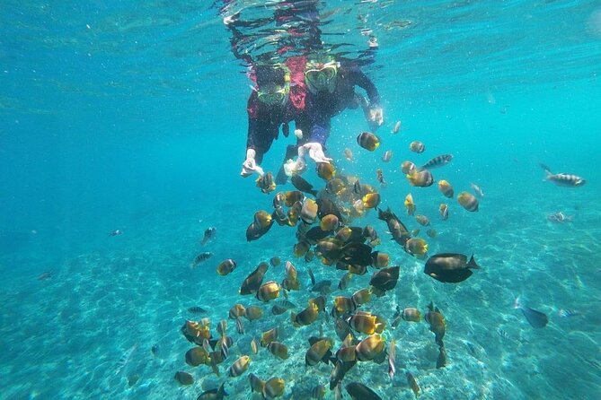 Bali Nusa Penida and Private Snorkeling (Manta Bay, Gamat, Wall) - Lunch, equipment, and what to bring