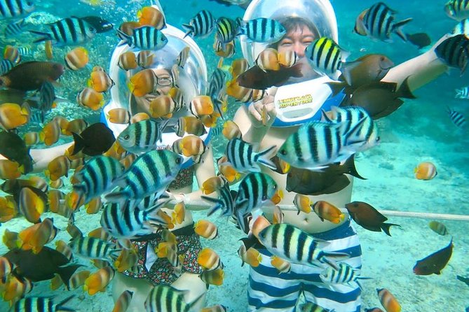 Bali Ocean Walker - Key things to know before booking